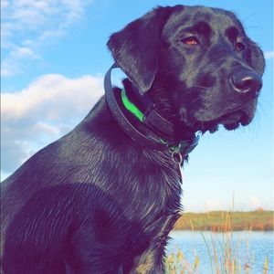 Meet your Posher, Kyler